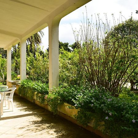 La Cecia - Casa Vacanze Nella Campagna Salentina Каваллино-ди-Лечче Экстерьер фото